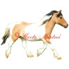 Samolepka hucul, pony