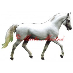 Samolepka shagya arab Salim, kůň, koně