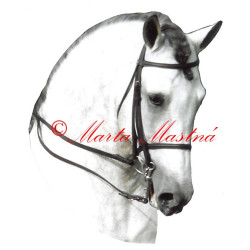 Samolepka andaluský kůň