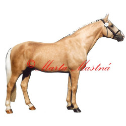 Samolepka kůň Kinský Polemik