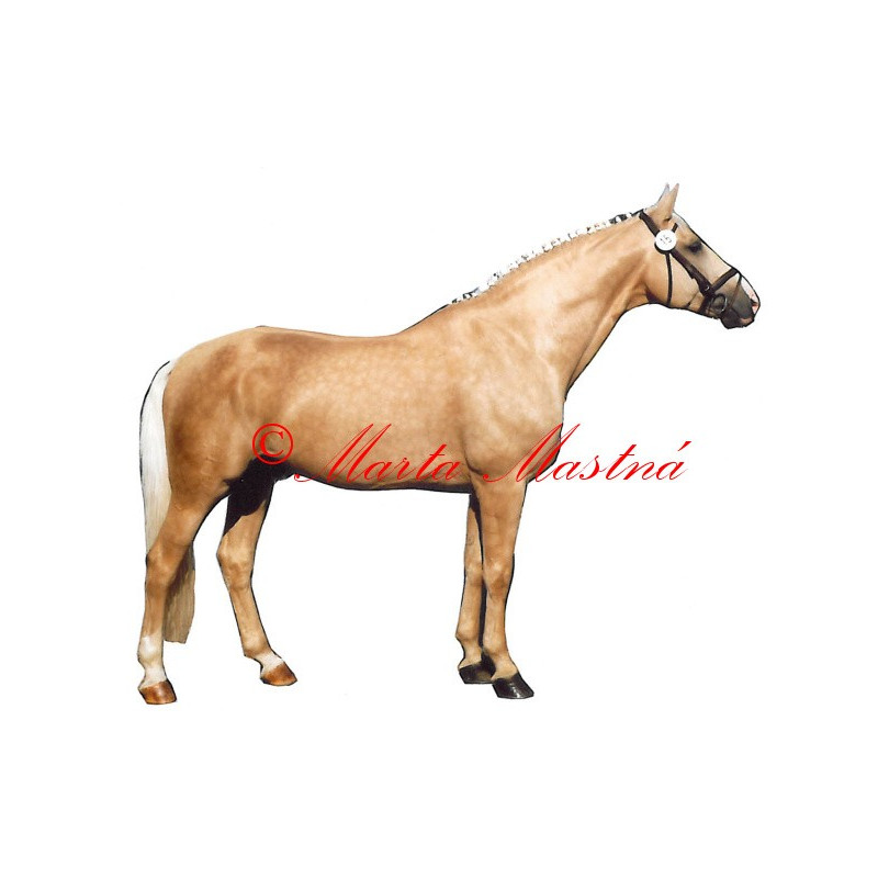 Samolepka kůň Kinský Polemik