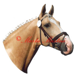 Samolepka kůň Kinský Polemik