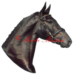 Samolepka teplokrevník