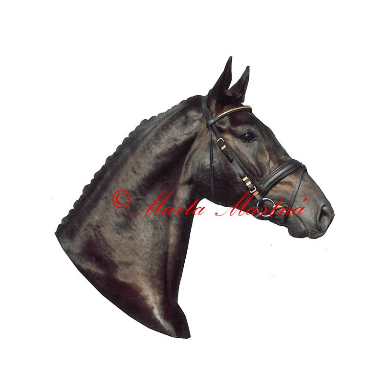 Samolepka teplokrevník