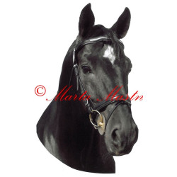 Samolepka teplokrevník