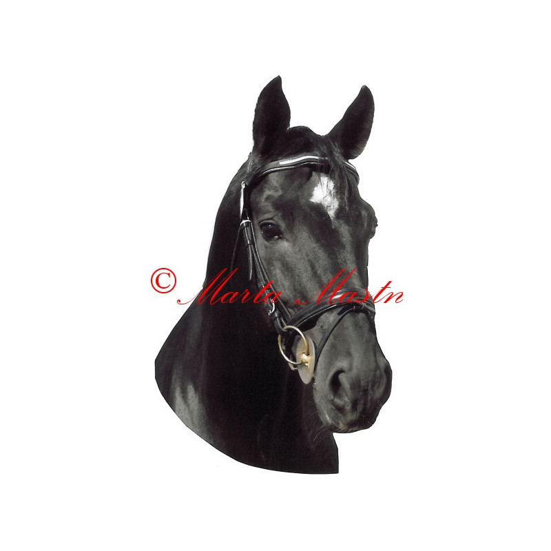 Samolepka teplokrevník