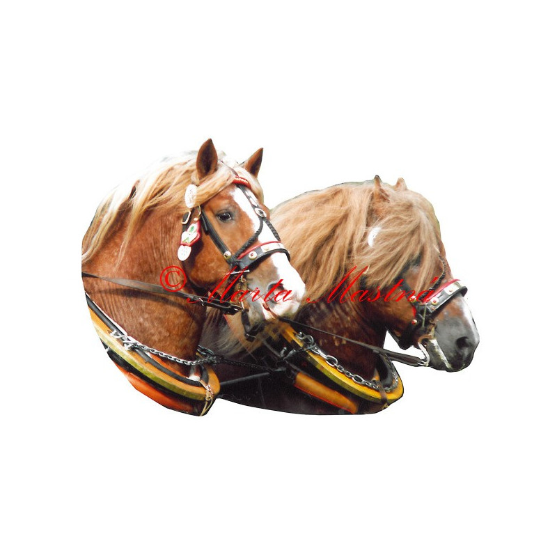 Samolepka českomoravský belgik