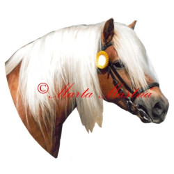 Samolepka hafling Mozart