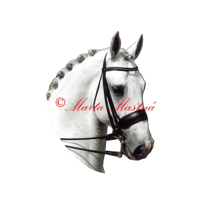 Samolepka holštýnský kůň