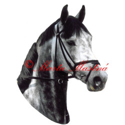 Samolepka teplokrevník