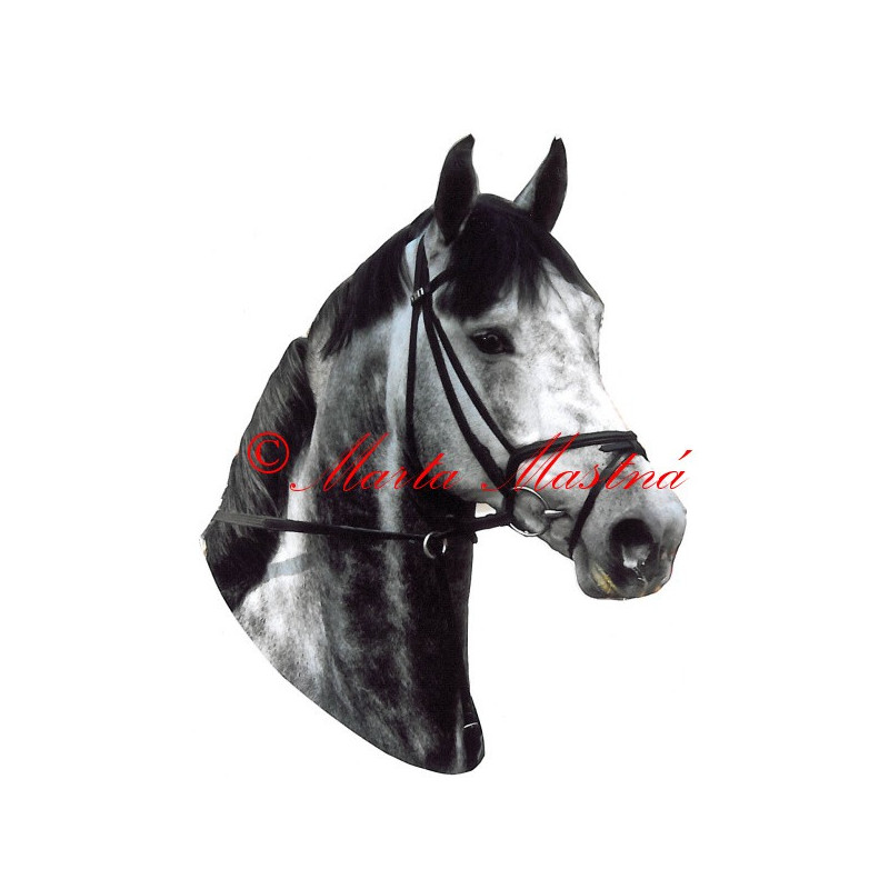 Samolepka teplokrevník