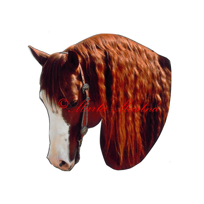Samolepka quarter horse