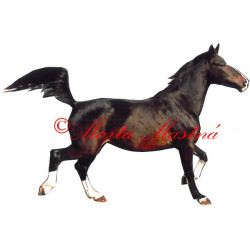 Samolepka gerdenladner