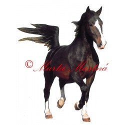 Samolepka geldenlander, kůň, koně