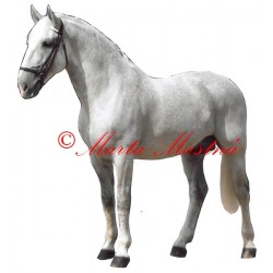 Samolepka kladrubský bělouš, kůň, koně - archiv