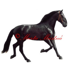 Samolepka kladrubský kůň