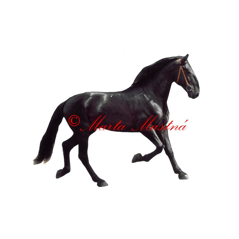 Samolepka kladrubský kůň