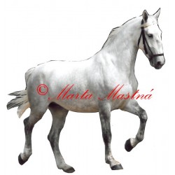 Samolepka kladrubský bělouš, kůň, koně - archiv