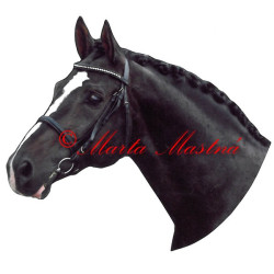 Samolepka teplokrevník Reverend