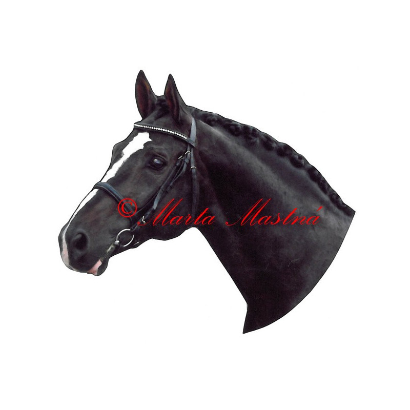 Samolepka teplokrevník Reverend