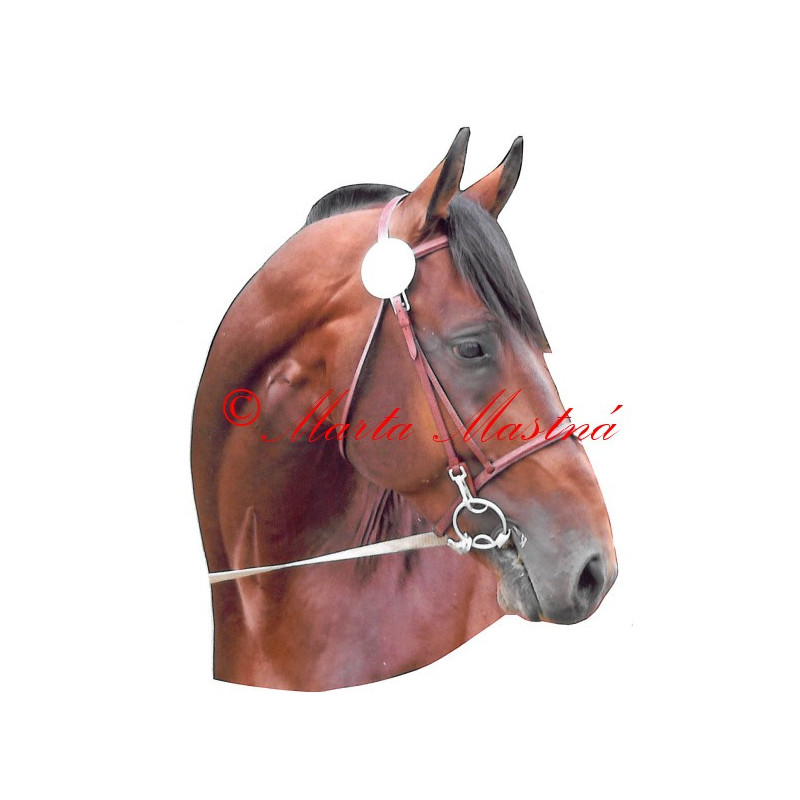 Samolepka teplokrevník Furioso