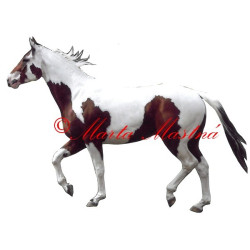 Samolepka paint horse