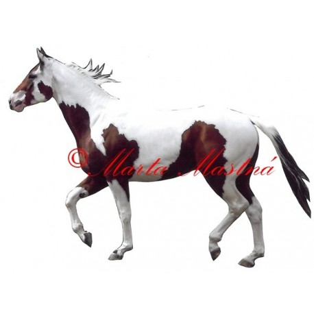 Samolepka paint horse