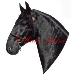 Samolepka kladrubský vraník