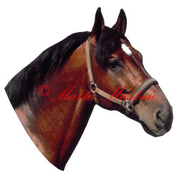 Samolepka teplokrevník