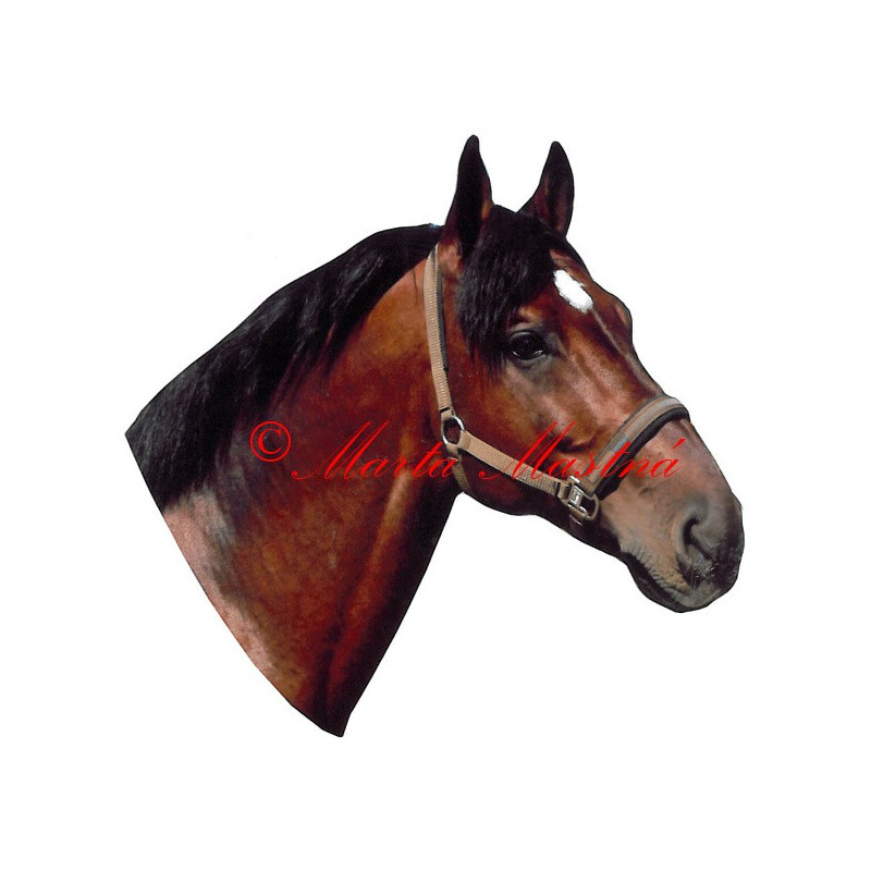 Samolepka teplokrevník