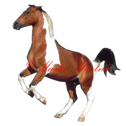 Samolepka teplokrevník West