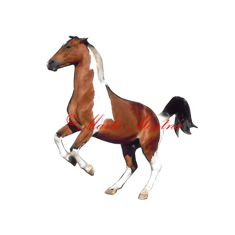 Samolepka teplokrevník West