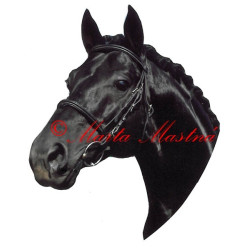 Samolepka teplokrevník