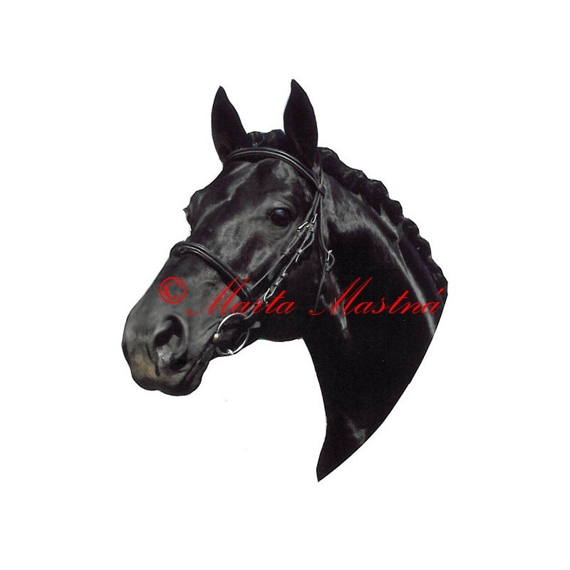 Samolepka teplokrevník