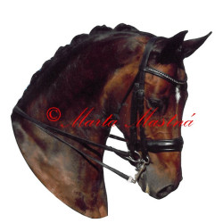 Samolepka teplokrevník drezura