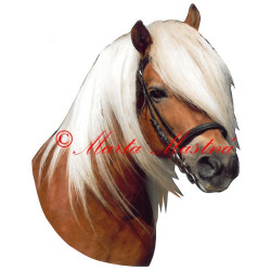 Samolepka hafling Mozart