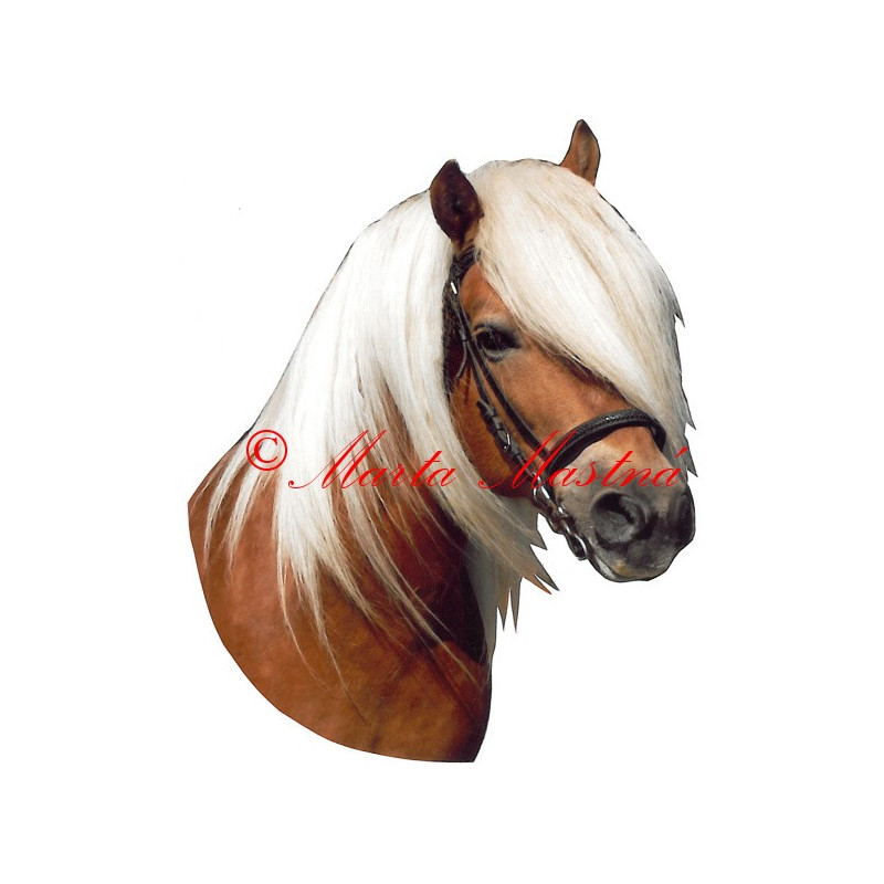 Samolepka hafling Mozart