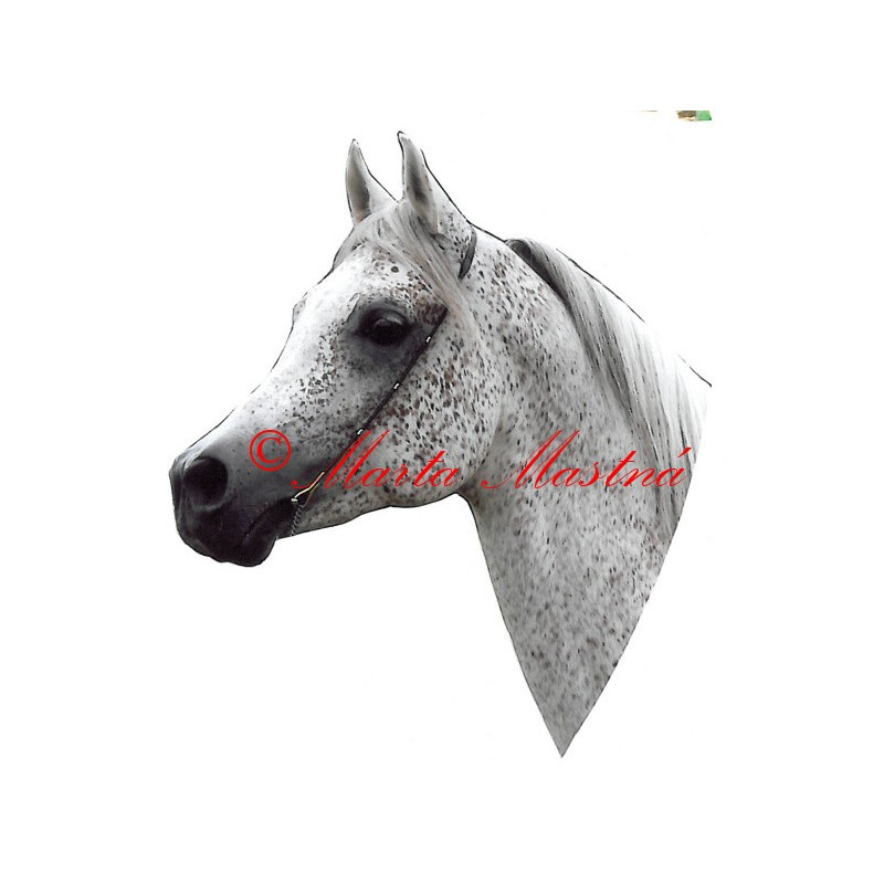 Samolepka arabský plnokrevník