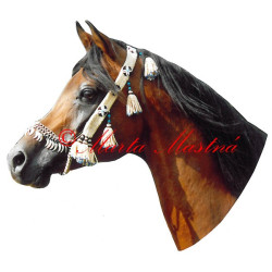 Samolepka arabský plnokrevník