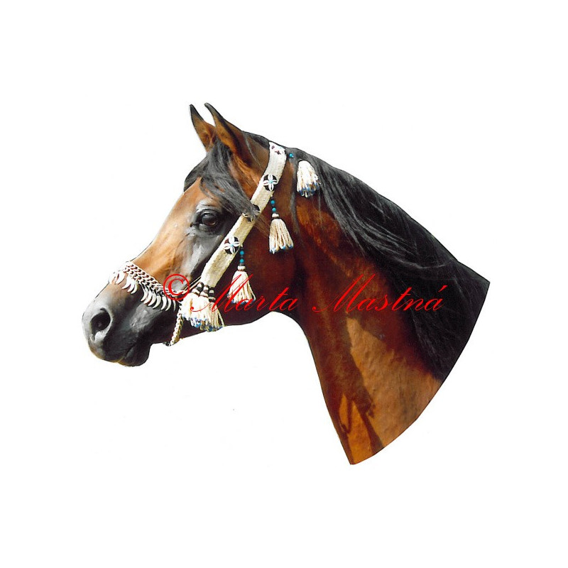 Samolepka arabský plnokrevník