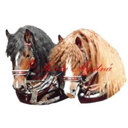 Samolepka českomoravský belgik Agar a Baluf