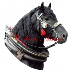 Samolepka polský chladnokrevník Hiszpan, kůň, koně