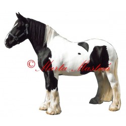 Samolepka irský cob, tinker Cody, kůň, koně