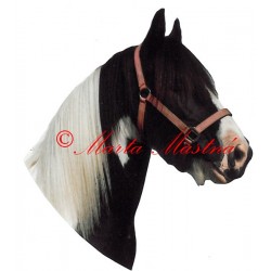 Samolepka irský cob, tinker, kůň, koně - archiv