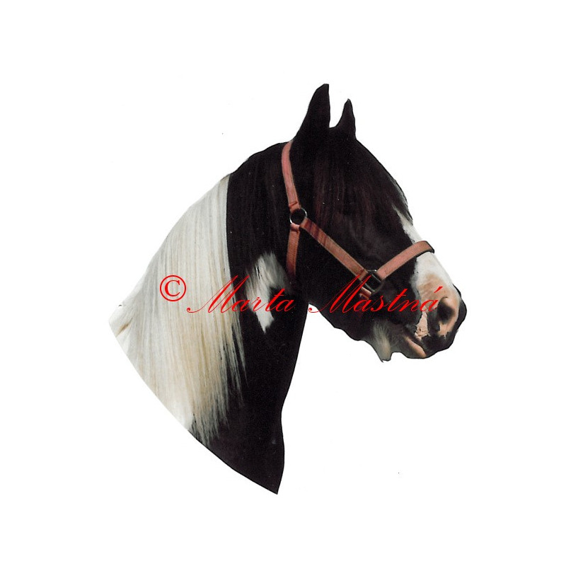 Samolepka irský cob, tinker