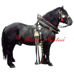 Samolepka polský chladnokrevník Hiszpan