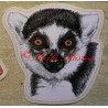 Samolepka lemur kata