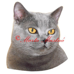 Samolepka kočka britská