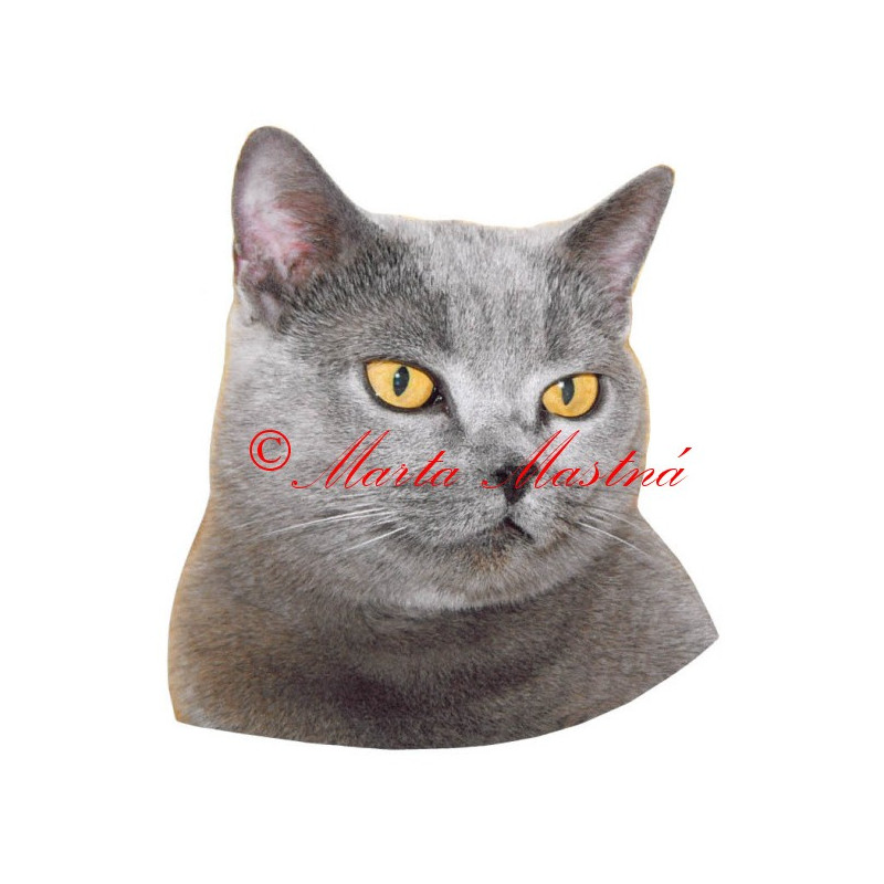 Samolepka kočka britská