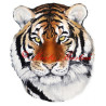 Samolepka tygr